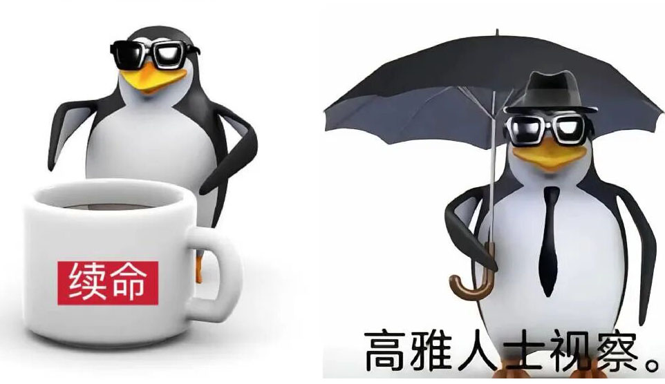 火爆全網的“高雅企鵝”，到底是什么來頭？